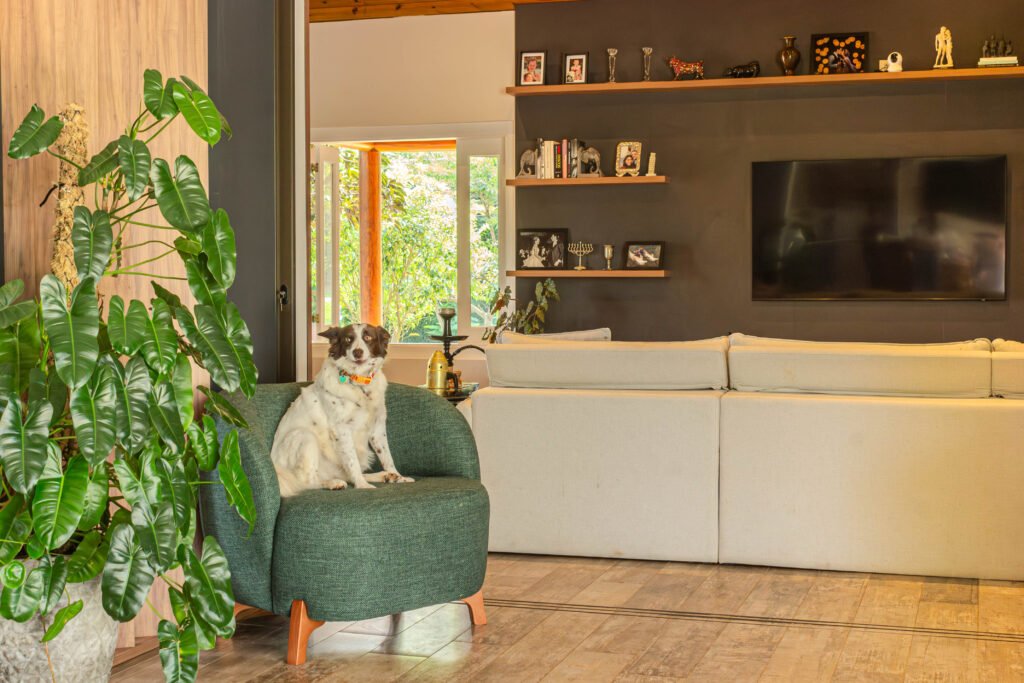 IMG_9372-Aprimorado-NR